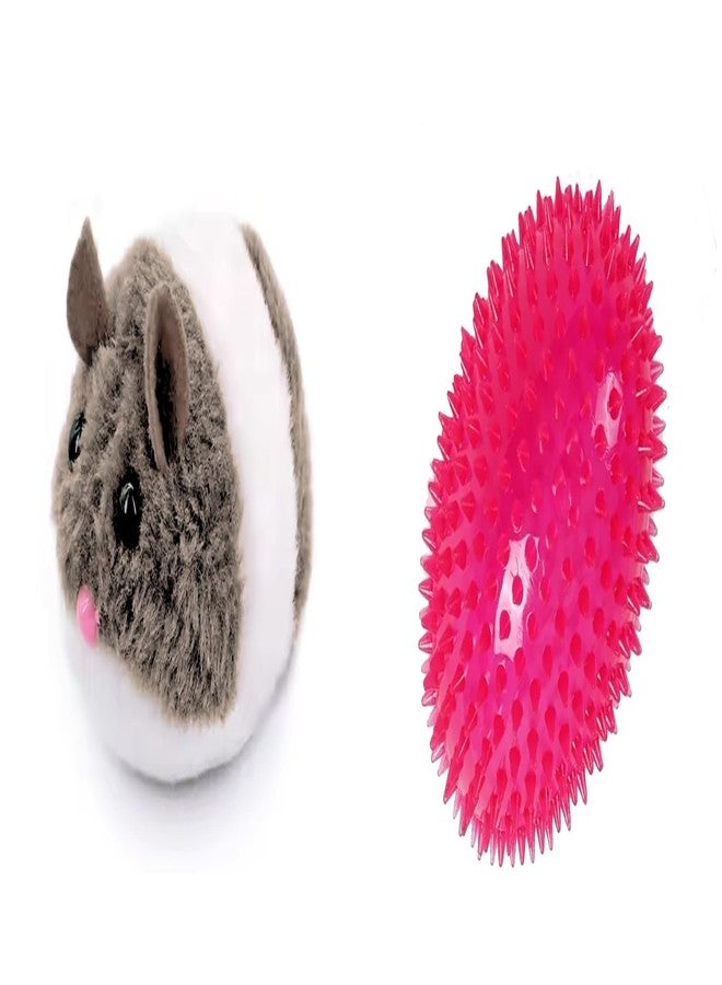 PET FUN Wind-Up Mouse Toy with Twirling Tail for Cats & Kittens | Plush Interactive Play LED Spike Rugby Ball Chew Toy for Dogs & Cats | Squeaky Light-Up Pet Toy Combo of 2 - Image 1